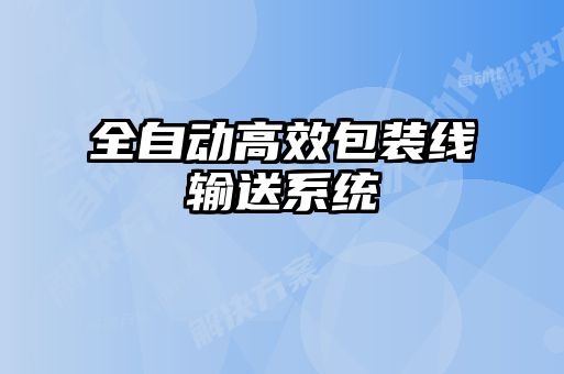 全自動高效包裝線輸送系統(tǒng)