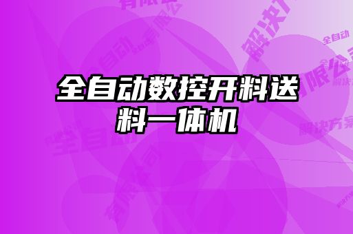 全自動數(shù)控開料送料一體機(jī)