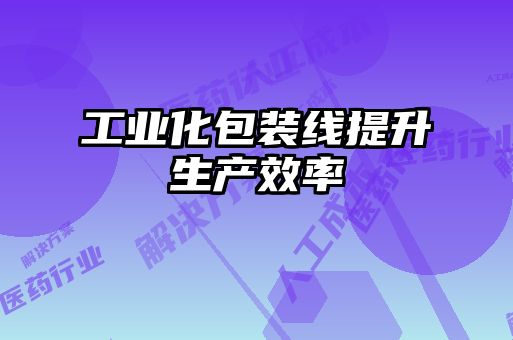 工業(yè)化包裝線提升生產效率