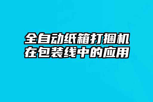 全自動紙箱打捆機(jī)在包裝線中的應(yīng)用