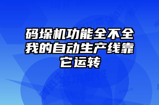 碼垛機功能全不全我的自動生產(chǎn)線靠它運轉
