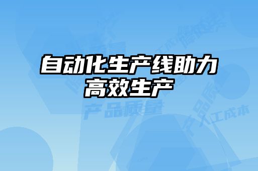 自動化生產線助力高效生產